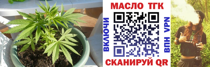 Купить закладки  Венёв  ТГК концентрат 