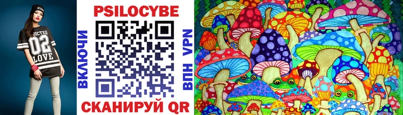 Купить закладки  Венёв  Галлюциногенные грибы Psilocybe 